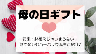 アマゾンプライムビデオでポケモン映画終了はいつ いつまで配信か どさんこママいんふぉ