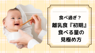 離乳食の初期の量が食べ過ぎ 判断基準や原因と対処する方法 どさんこママいんふぉ